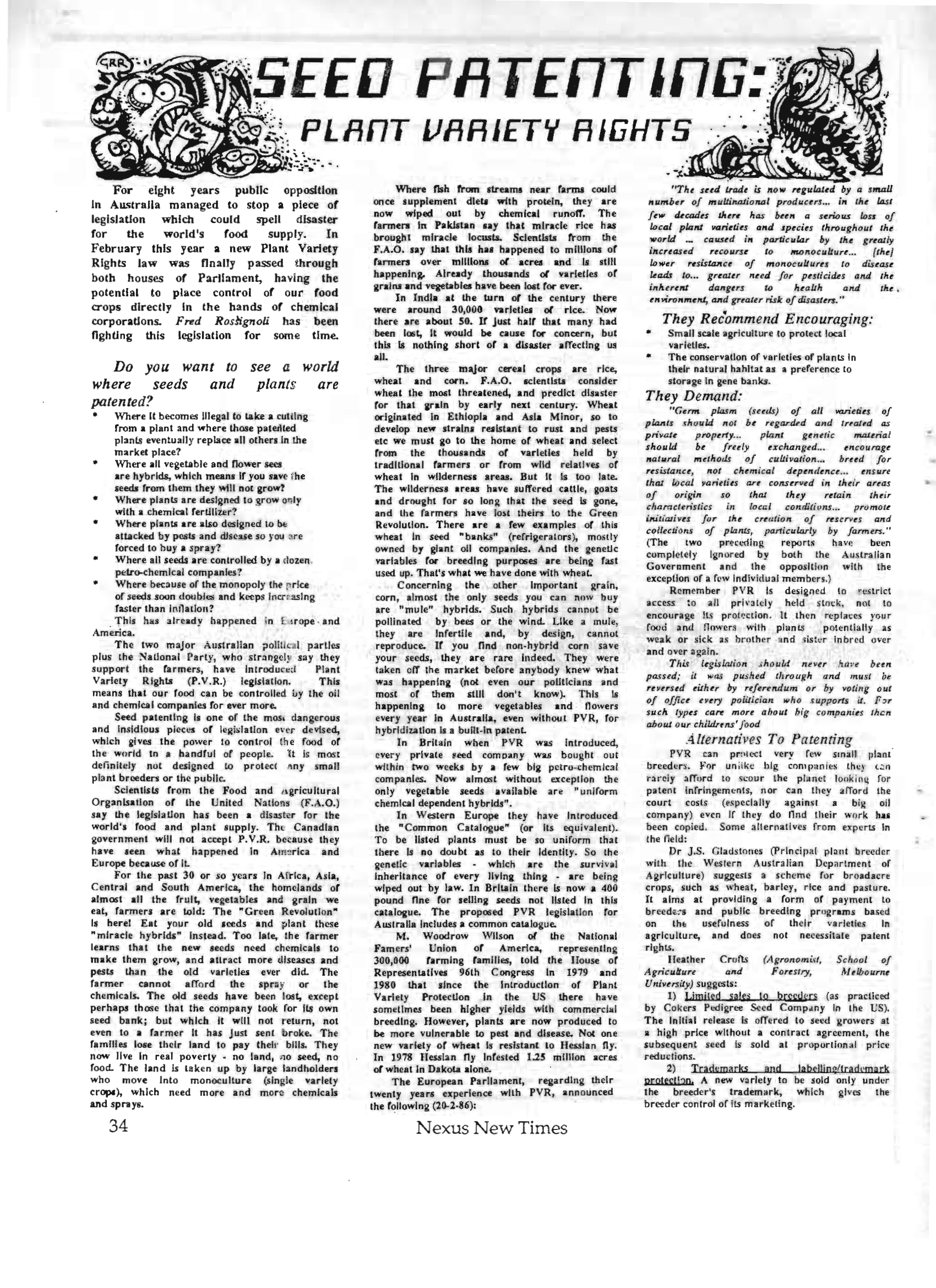 Nexus 0101 New Times Magazine