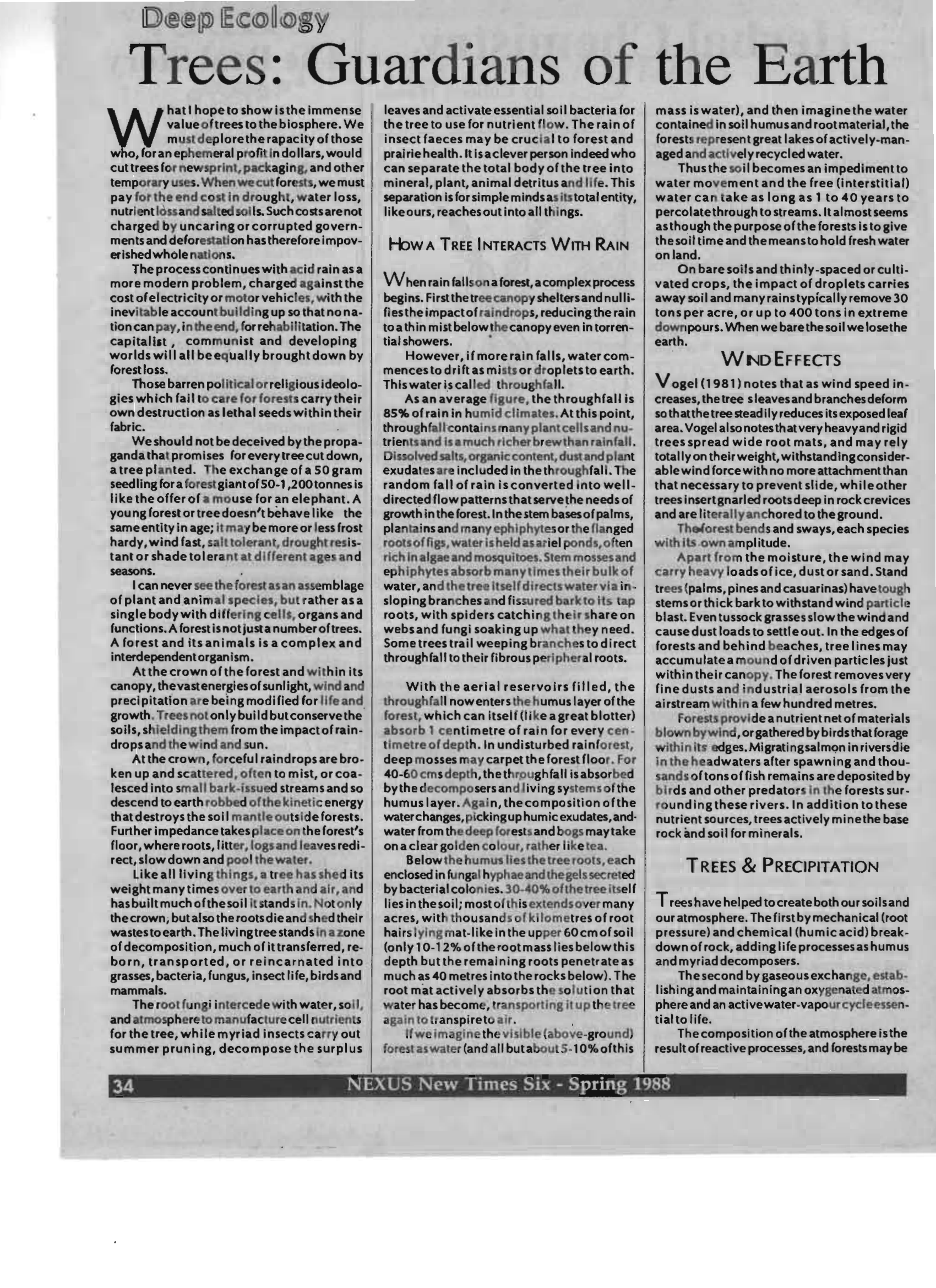 Nexus 0106 New Times Magazine