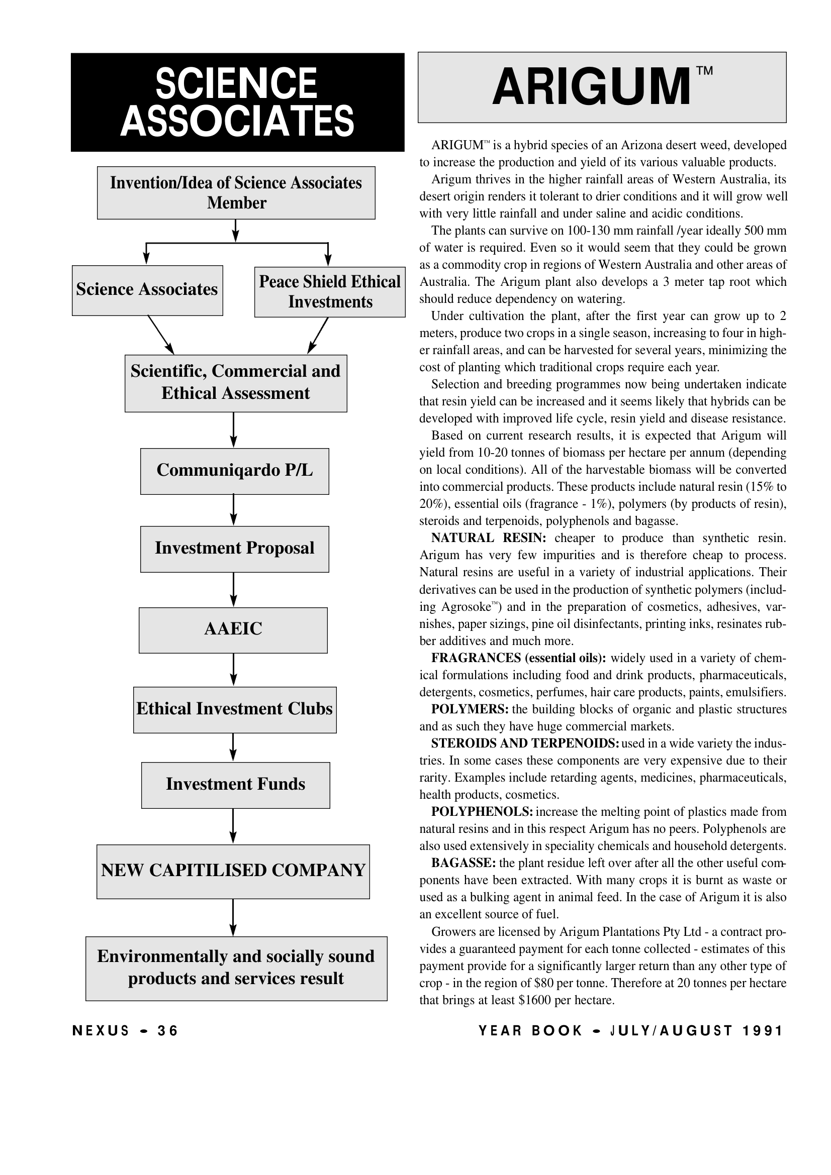 Nexus 0204 New Times Magazine