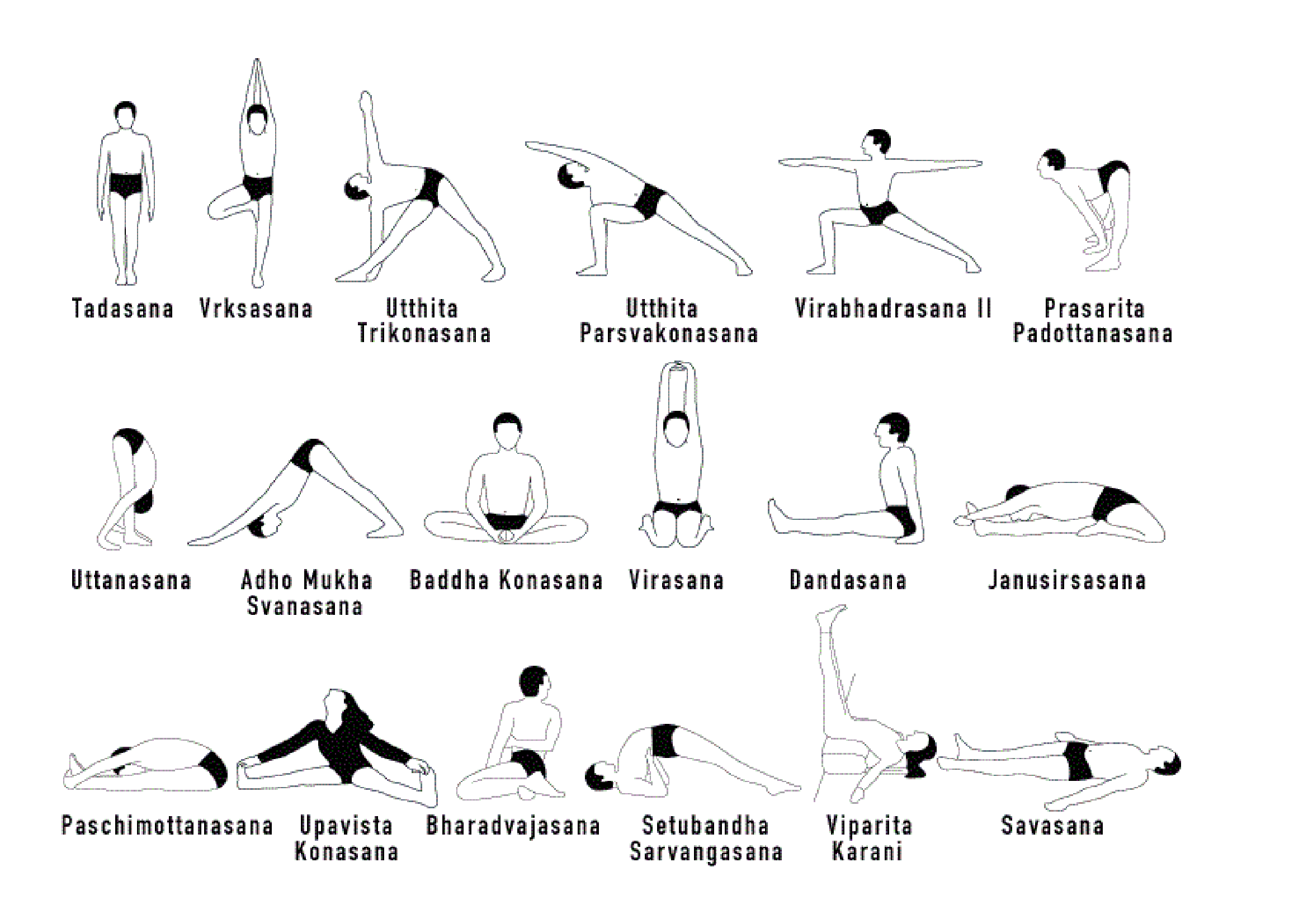 Cseti 12. Yoga Asanas