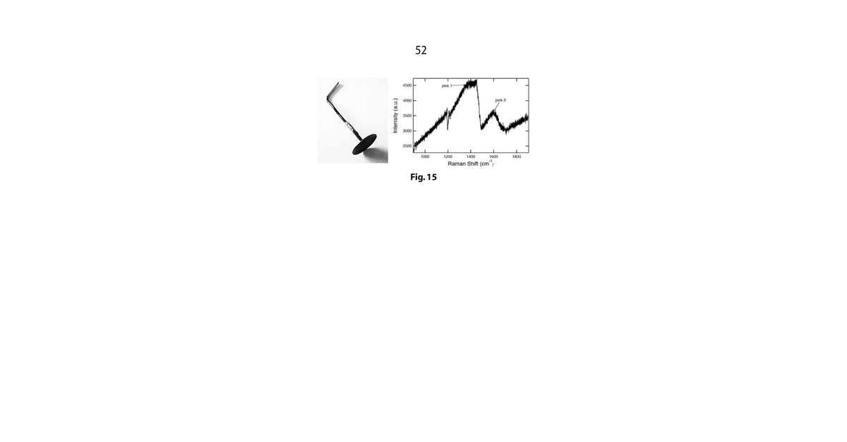 Pag52