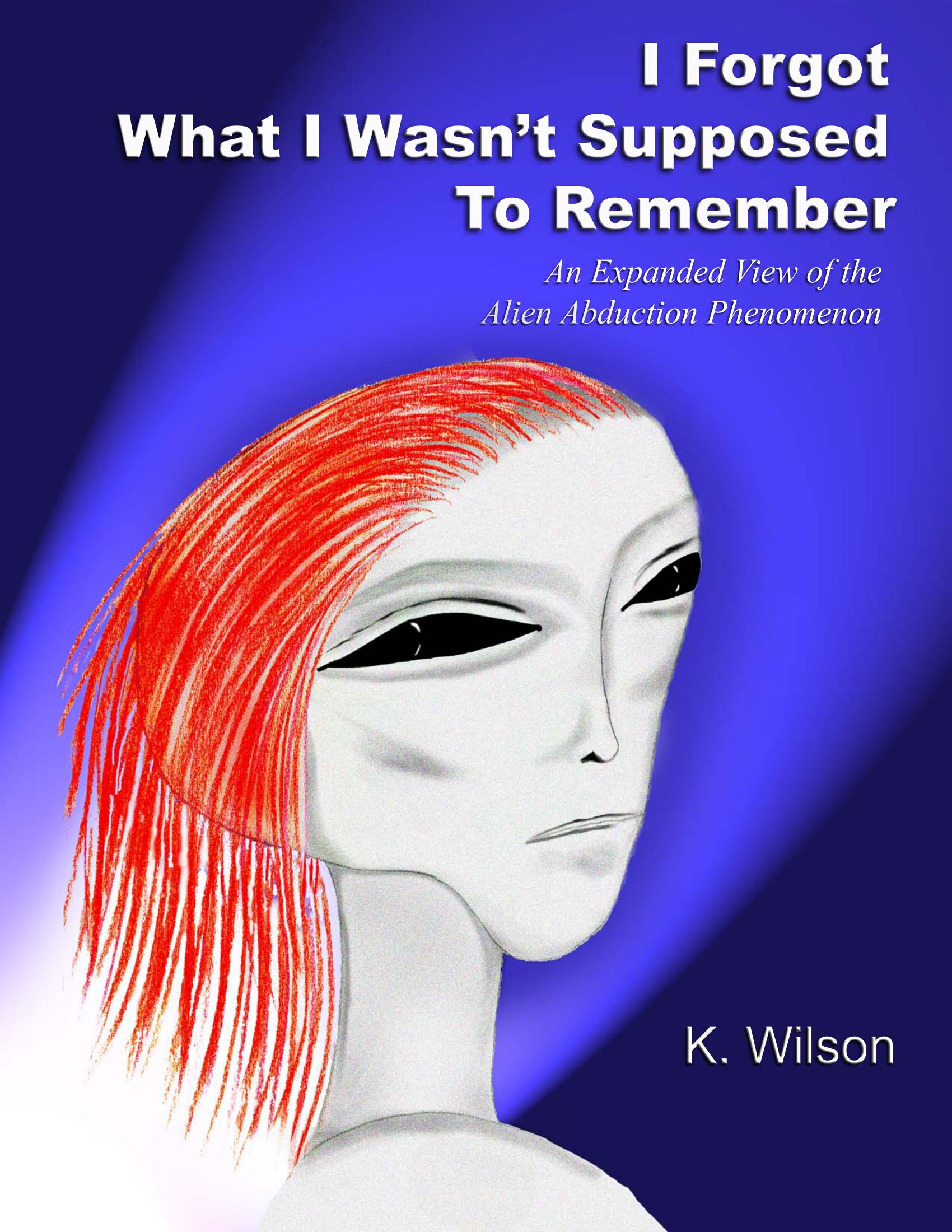 I Forgot What I Wasn'T Supposed To Remember K Wilson