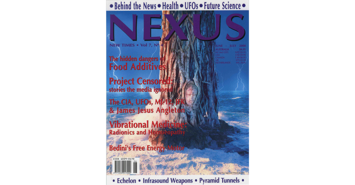 Nexus 0704 New Times Magazine