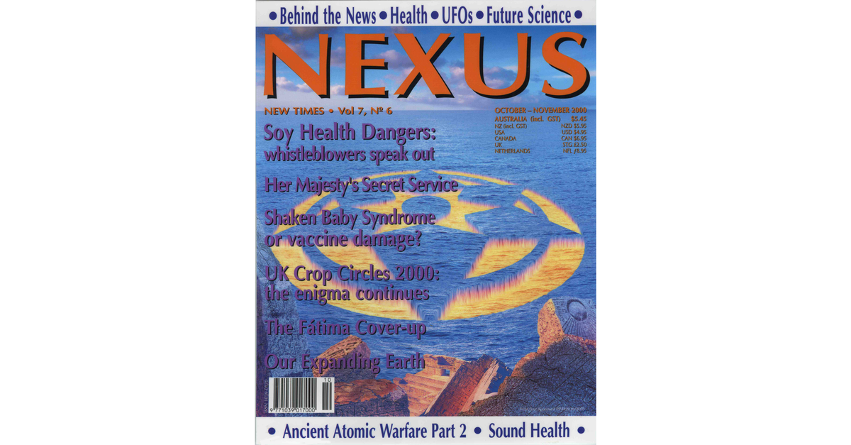 Nexus 0706 New Times Magazine