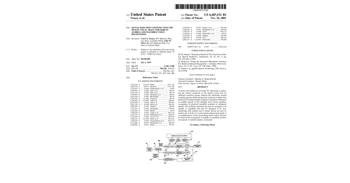 58051892 Us 6487531