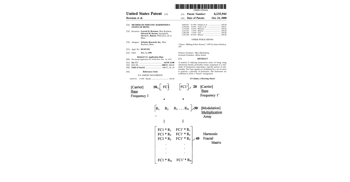 58052451 Us 6135944