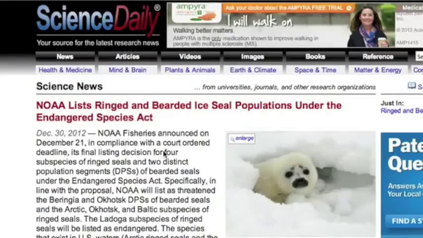 Arctic Seals and Nuclear Radiation: A Wake-Up Call