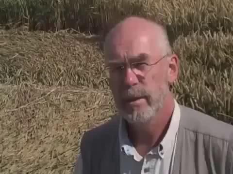 Crop Circles and Alien Messages: The 2001 Chilbolton Formation