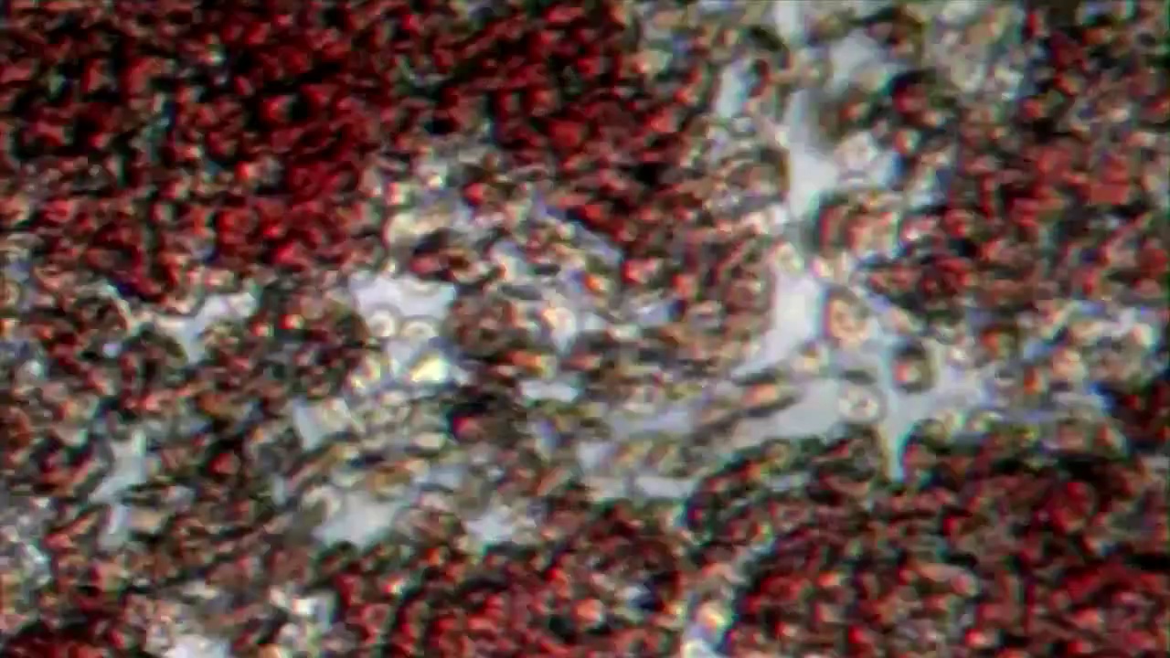 Is the Universe Alive? The Mystery of Life and Superorganisms