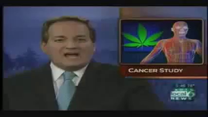 Most Shocking WikiLeaks Yet: Illicit Cannabis and Cancer