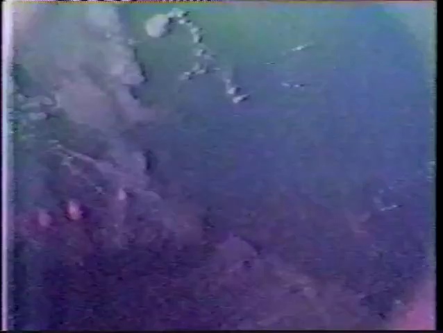 Nasa Ufos New Video Of