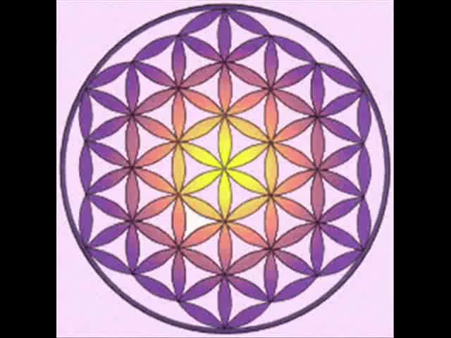The Nature of Light and Its Interplay with Matter
